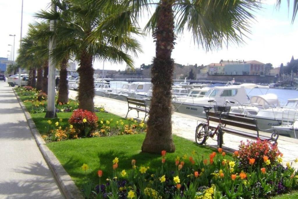 Hygge Zadar Apartment Dış mekan fotoğraf